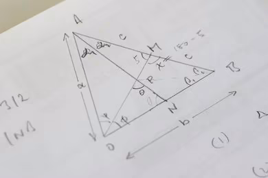 Advanced Linear Programming