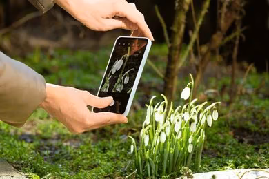 Basics Of Smartphone Photography