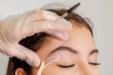 Brow Lamination With Wax And Tint