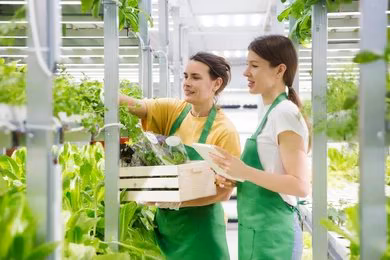 Build Your Own Home Hydroponic Farm