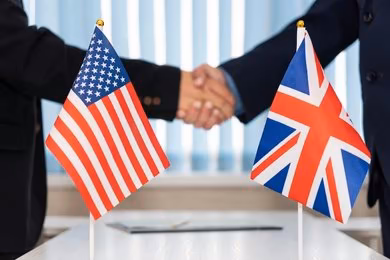 Comparative Politics: Uk And Usa