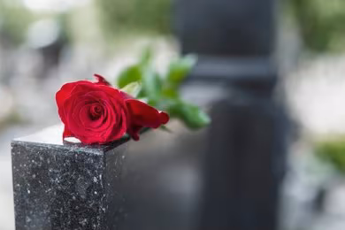 Death, Grief, Healing & Bereavement Diploma