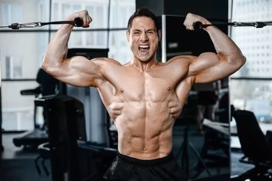 Muscle Building Secrets