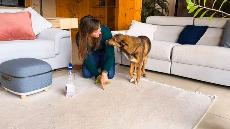 Pet Training Masterclass