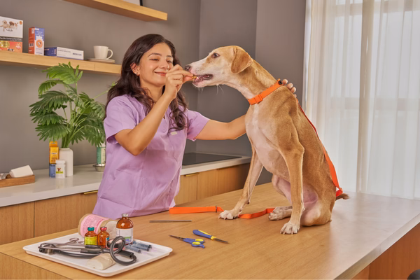 Veterinary Nursing Fundamentals