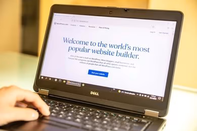 WordPress Training For Everyone
