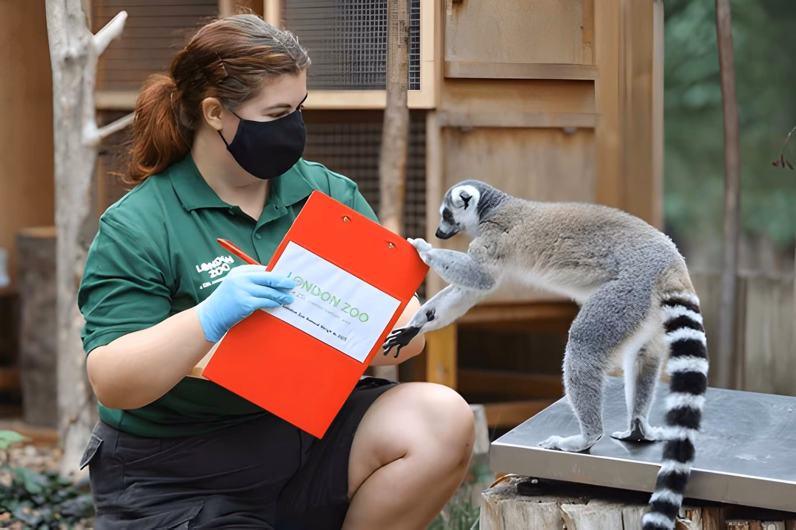 Zoology & Animal Science Zoology & Animal Science
