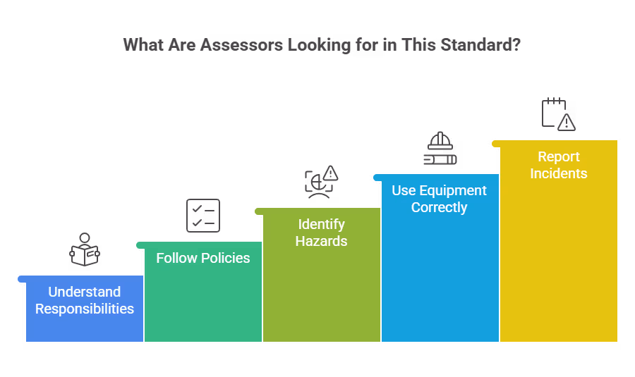 what_are_assessors_looking_for_in_this_standard (2)
