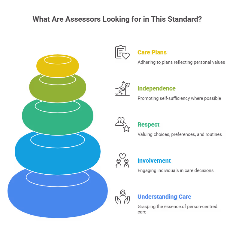 what_are_assessors_looking_for_in_this_standard