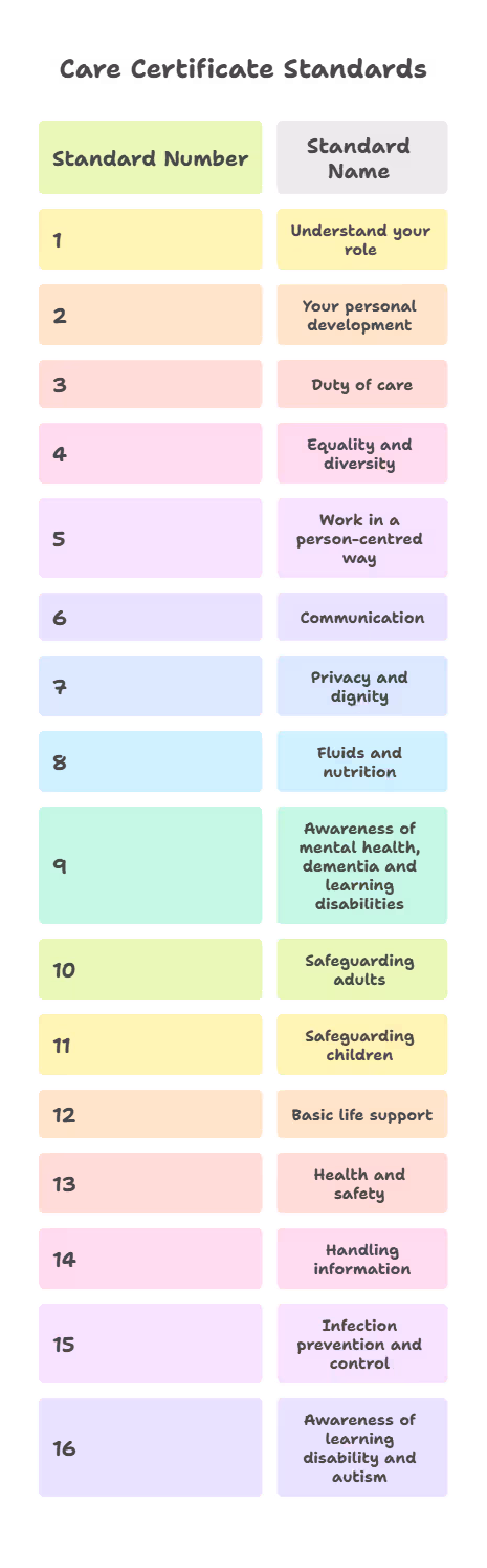 What Are the 16 Care Certificate