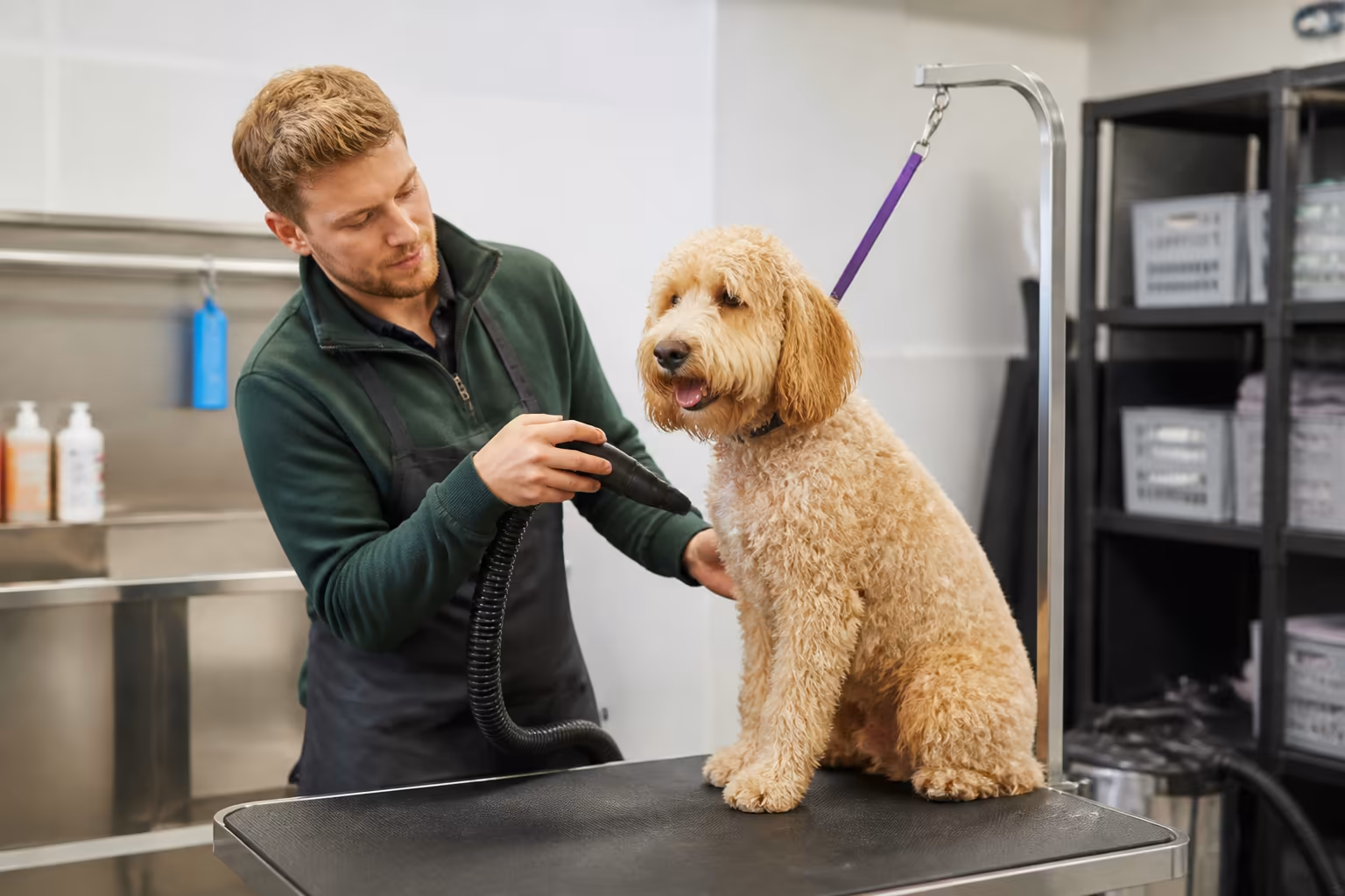 Dog Grooming-89826 Dog Grooming-89826