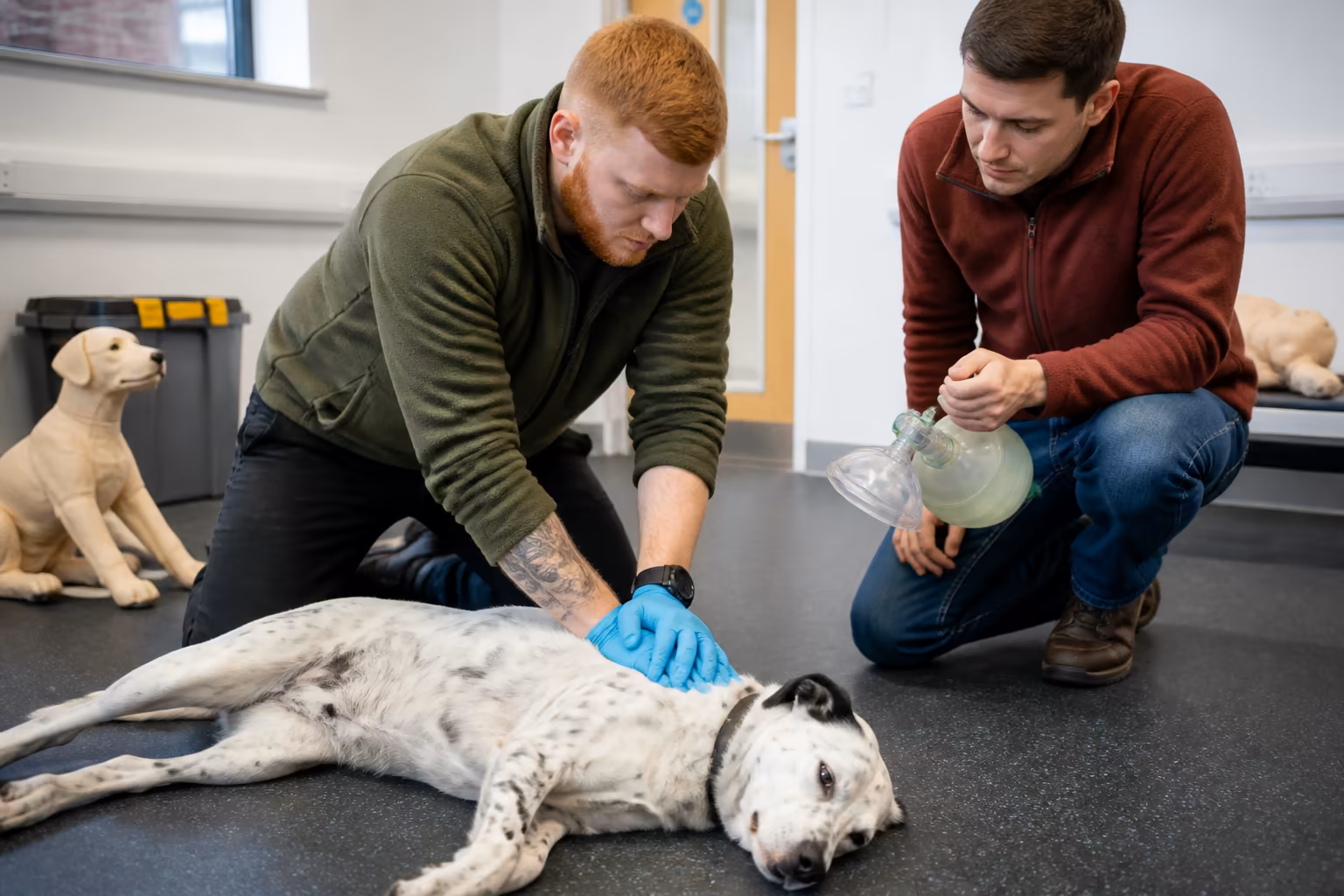 Pet First Aid and CPR Course-24233 Pet First Aid and CPR Course-24233