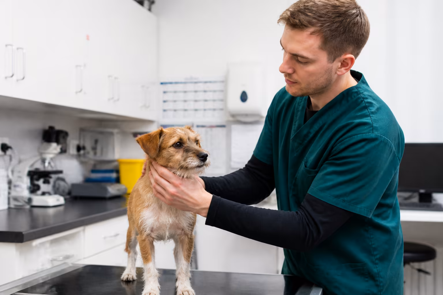 Veterinary Support Assistant-90669 Veterinary Support Assistant-90669